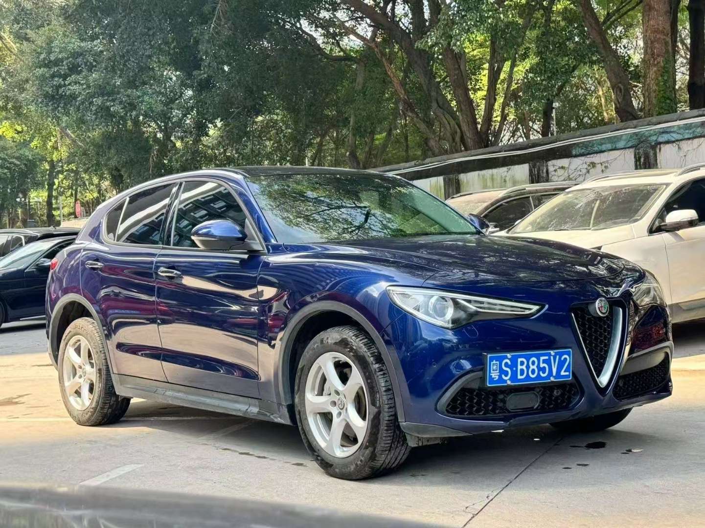 Alfa Romeo Stelvio 2.0T Elite Edition 2