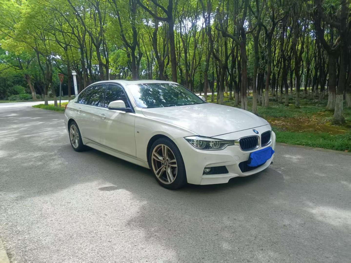 BMW 3 Series 320L High Spec 3