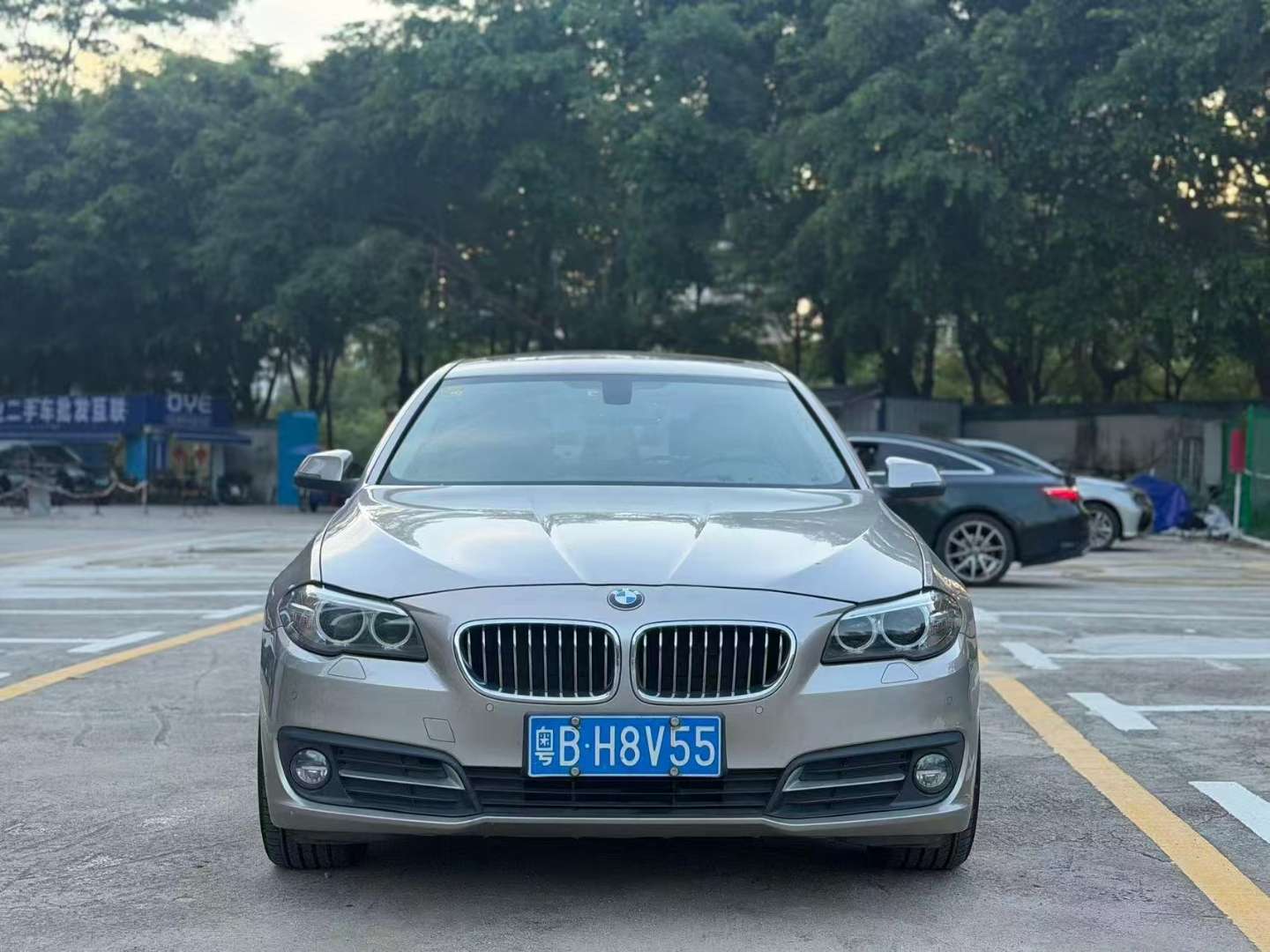 BMW 5 Series 2014 530Li Leading Edition