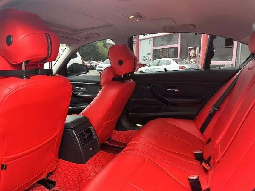BMW 3 Series 320Li Luxury 6