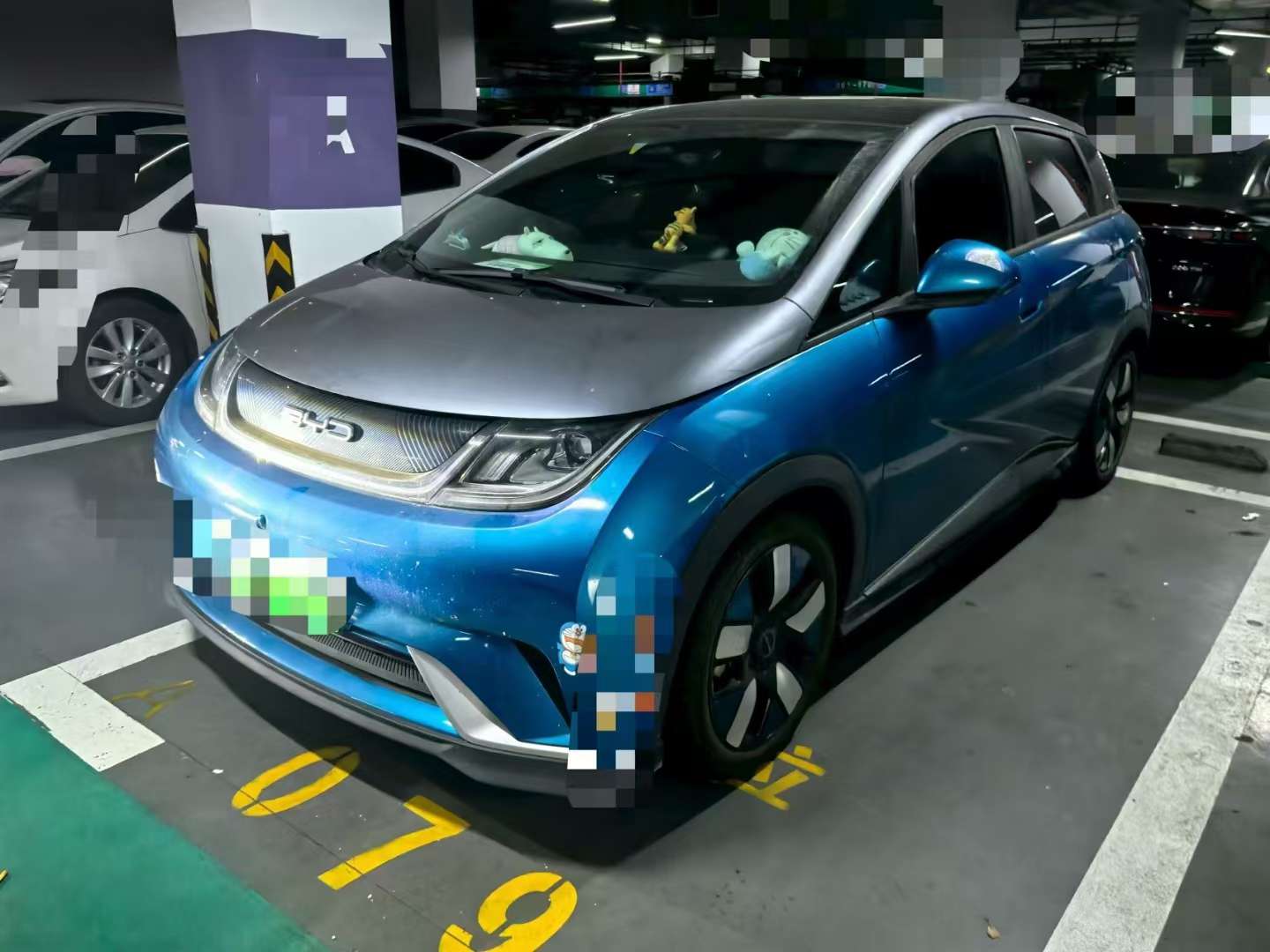 BYD Dolphin Knight Edition