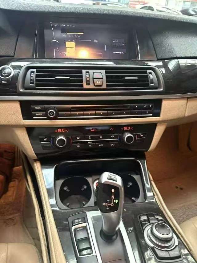 BMW 5 Series 2.0T Leading Edition 5