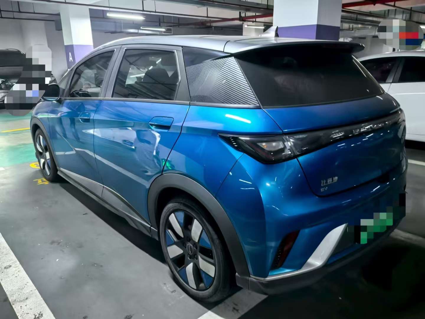 BYD Dolphin Knight Edition 2