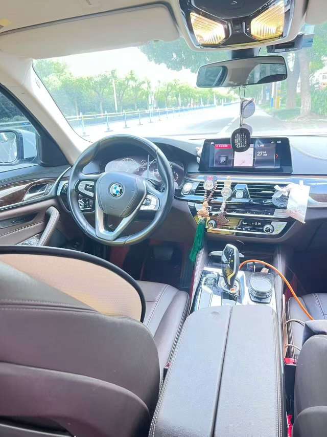 BMW 5 Series 2.0L Luxury Line 3