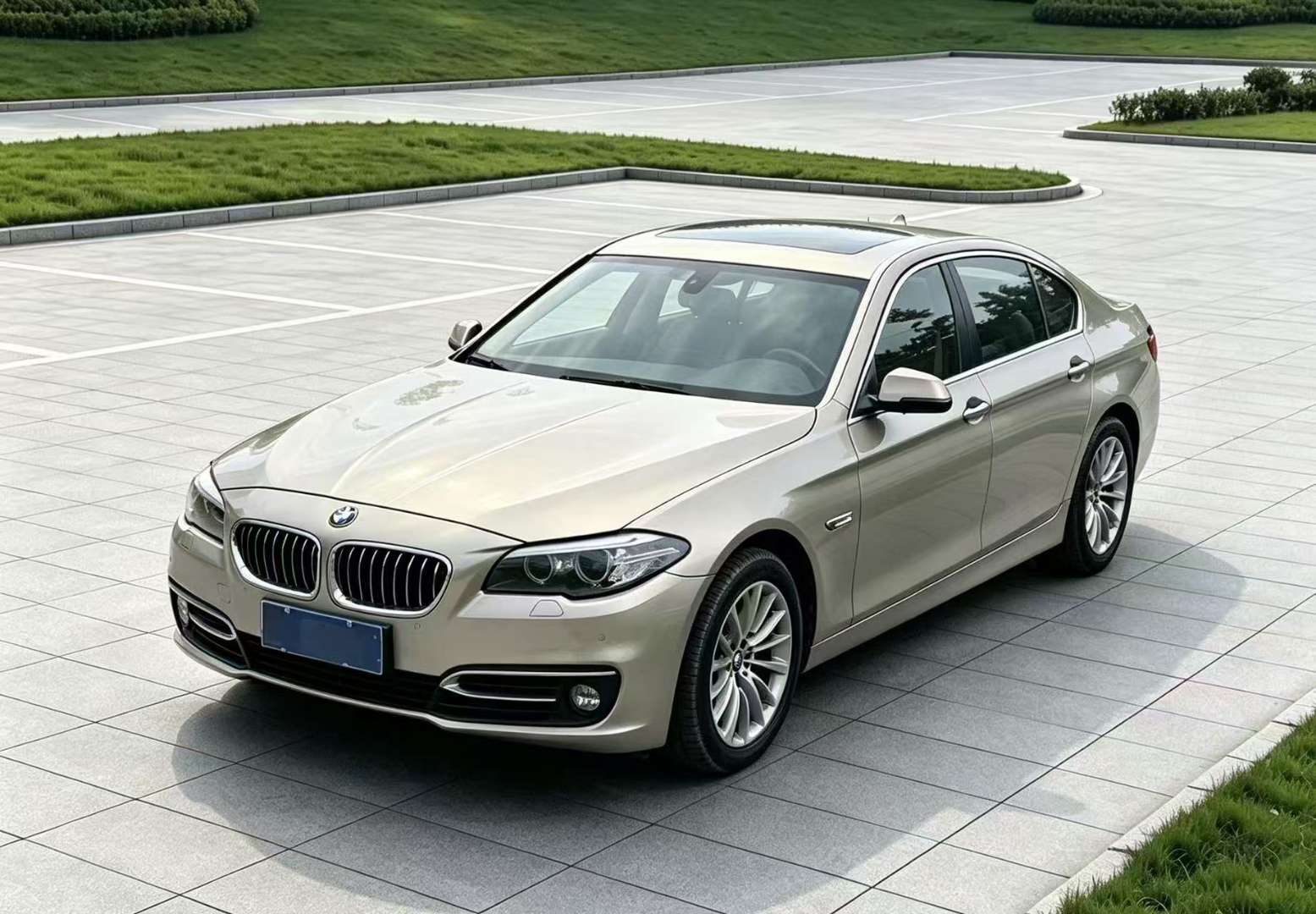 BMW 5 Series 2014 525Li Luxury Design Package 2.0T 2