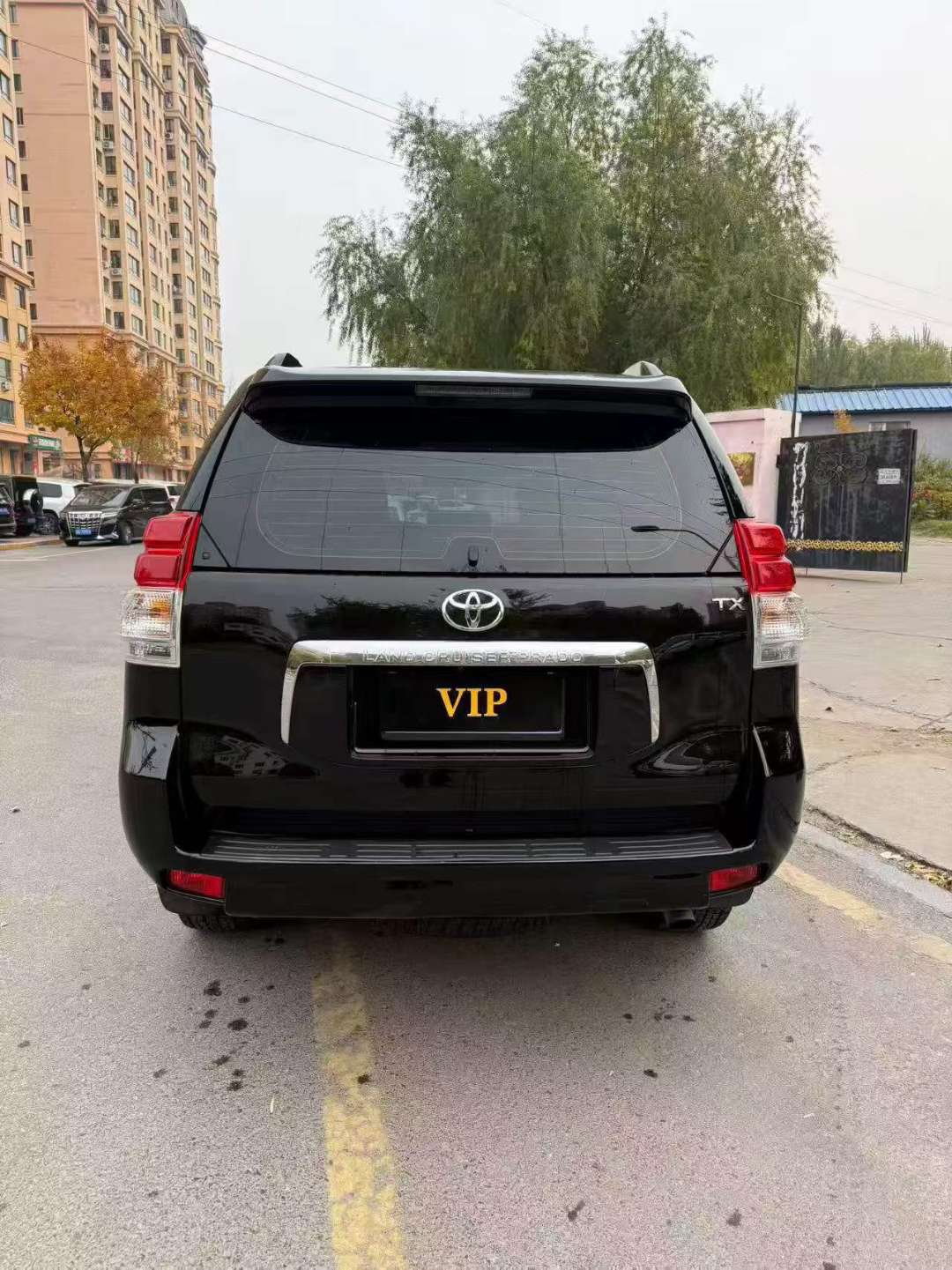 Toyota Prado 2012 Prado 5