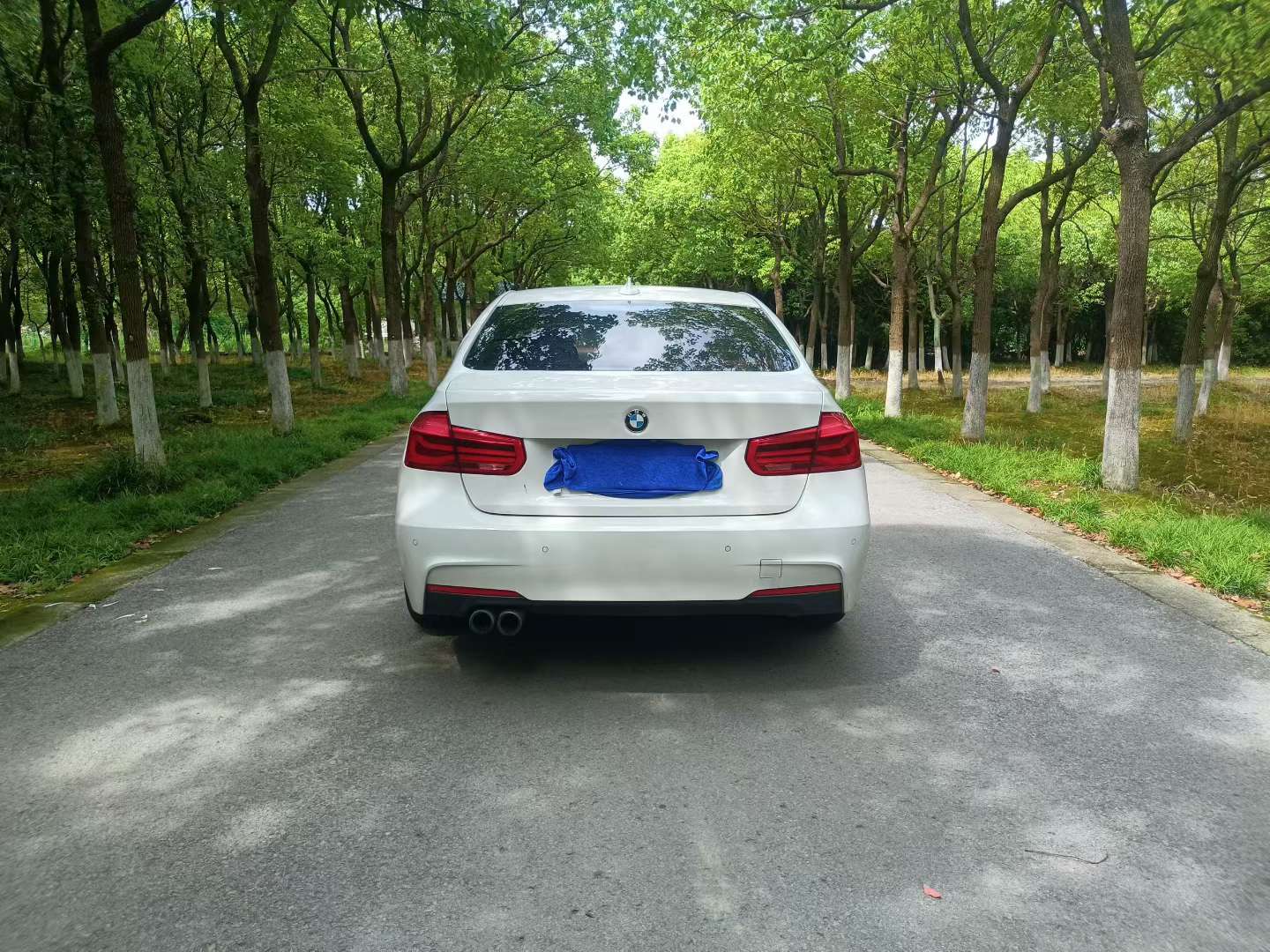 BMW 3 Series 320L High Spec 7