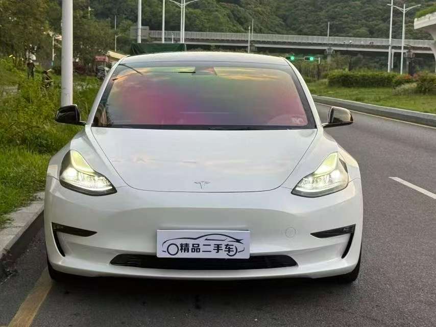 Tesla Model 3 2022 Model 3 Performance 2