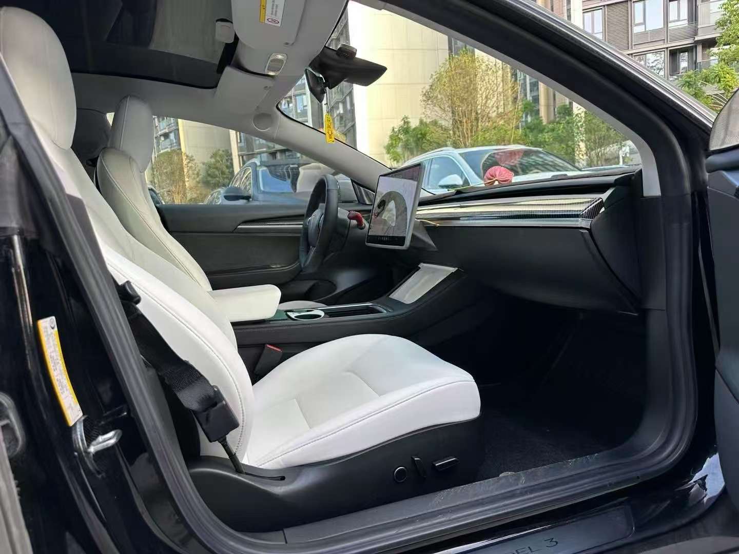 Tesla Model 3 2021 Model 3 6
