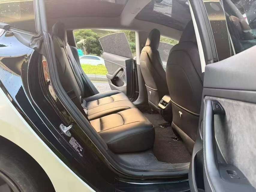 Tesla Model 3 2022 Model 3 Performance 8