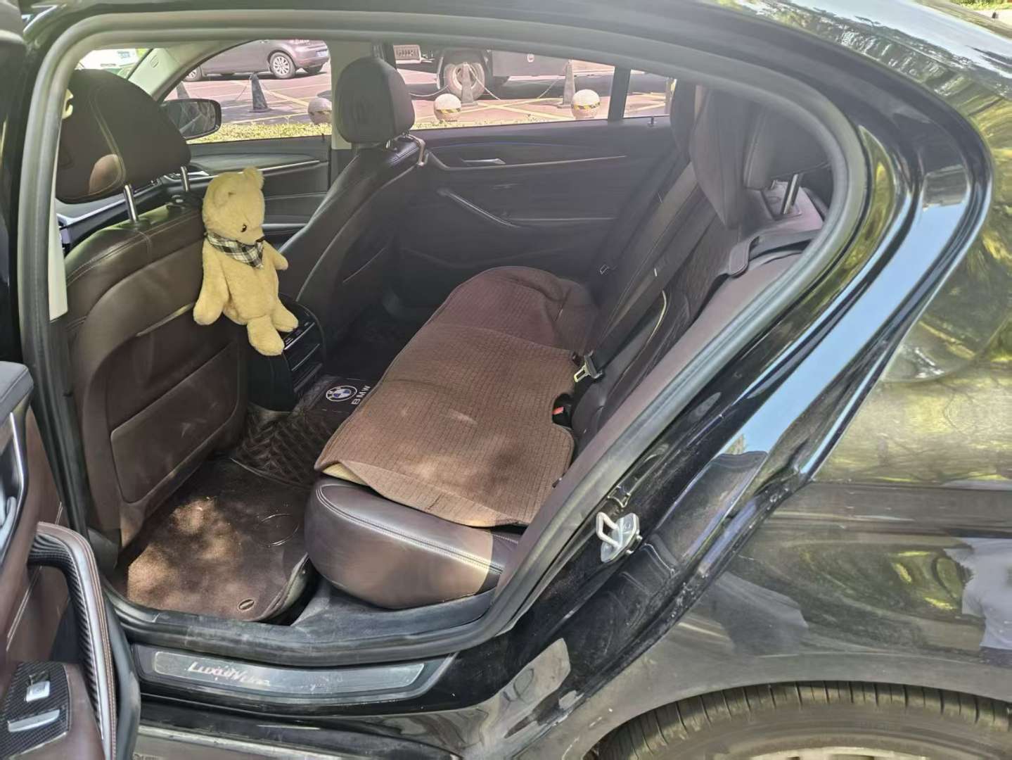 BMW 5 Series 2019 530Li Leading Luxury 3