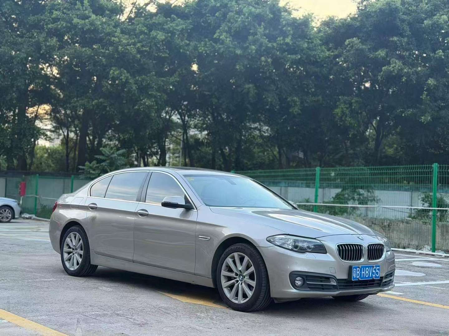 BMW 5 Series 2014 530Li Leading Edition 2