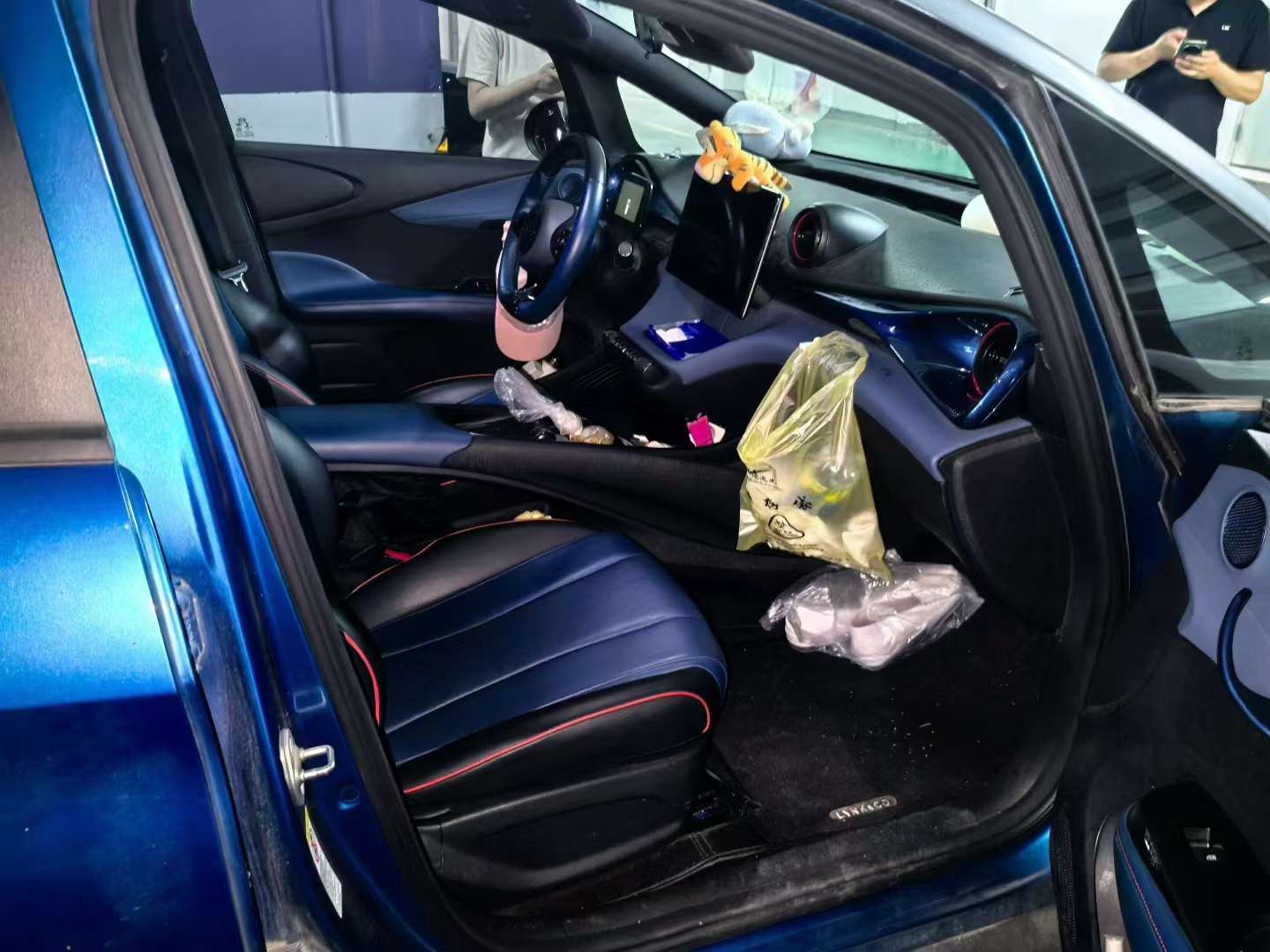 BYD Dolphin Knight Edition 4