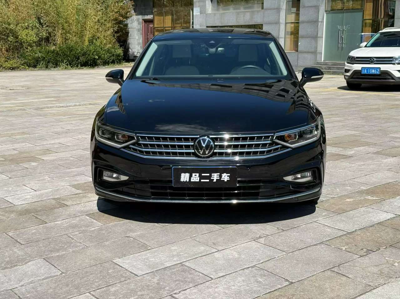 Volkswagen Magotan 2.0T Luxury Edition 2