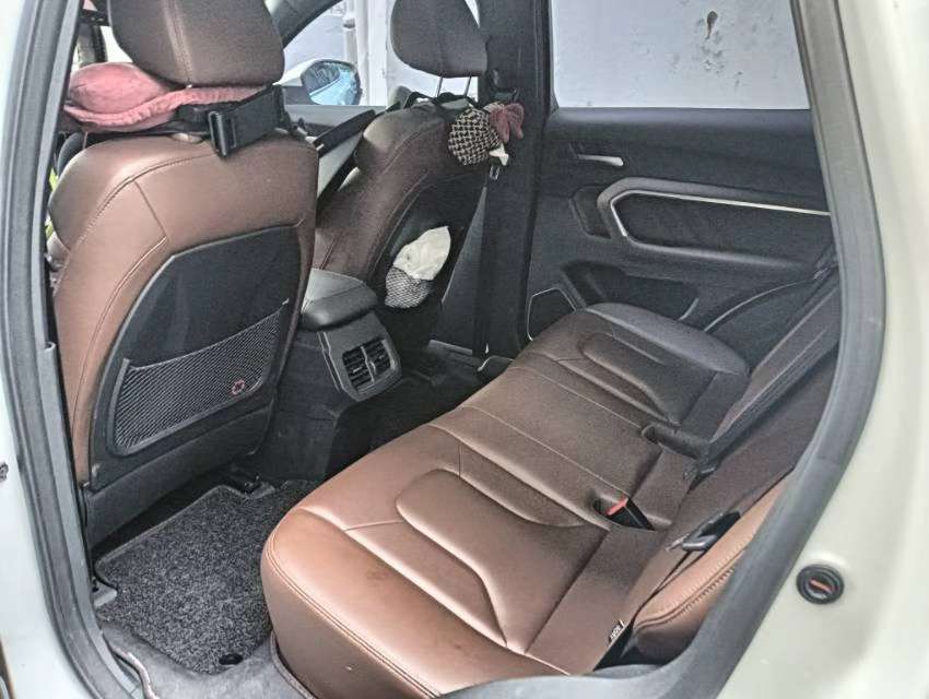 Haval H6 1.5T Lingshang Edition 6