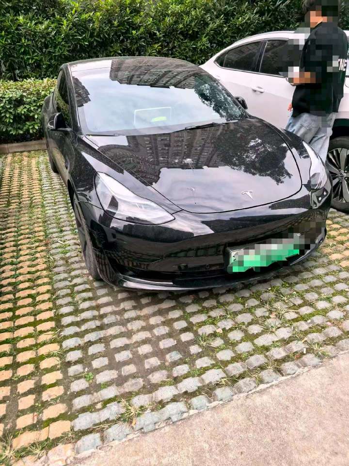 Tesla Model 3 Standard Range Rear-Wheel Drive 2