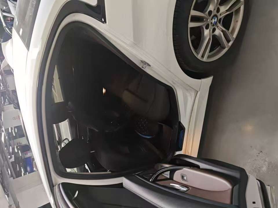 BMW 3 Series 320Li 2.0T M Sport Package 7