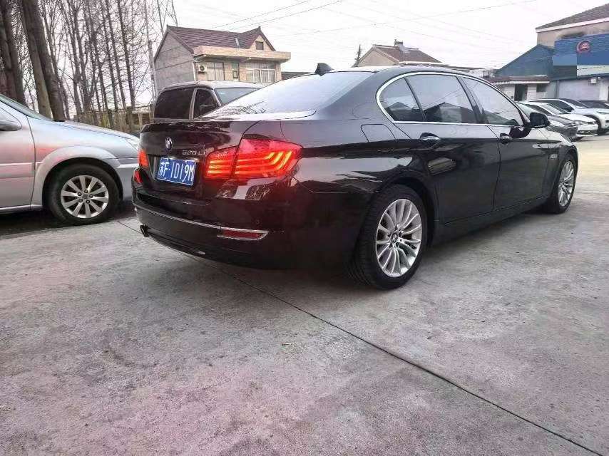 BMW 5 Series 2.0T Luxury Design Package 3