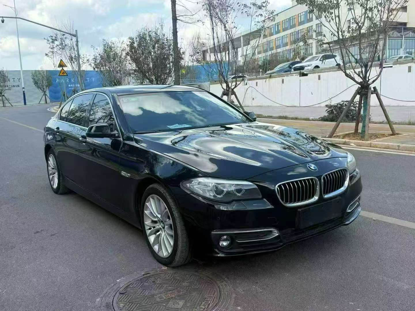 BMW 5 Series 2017 525Li 2.0T Luxury Design Package 3