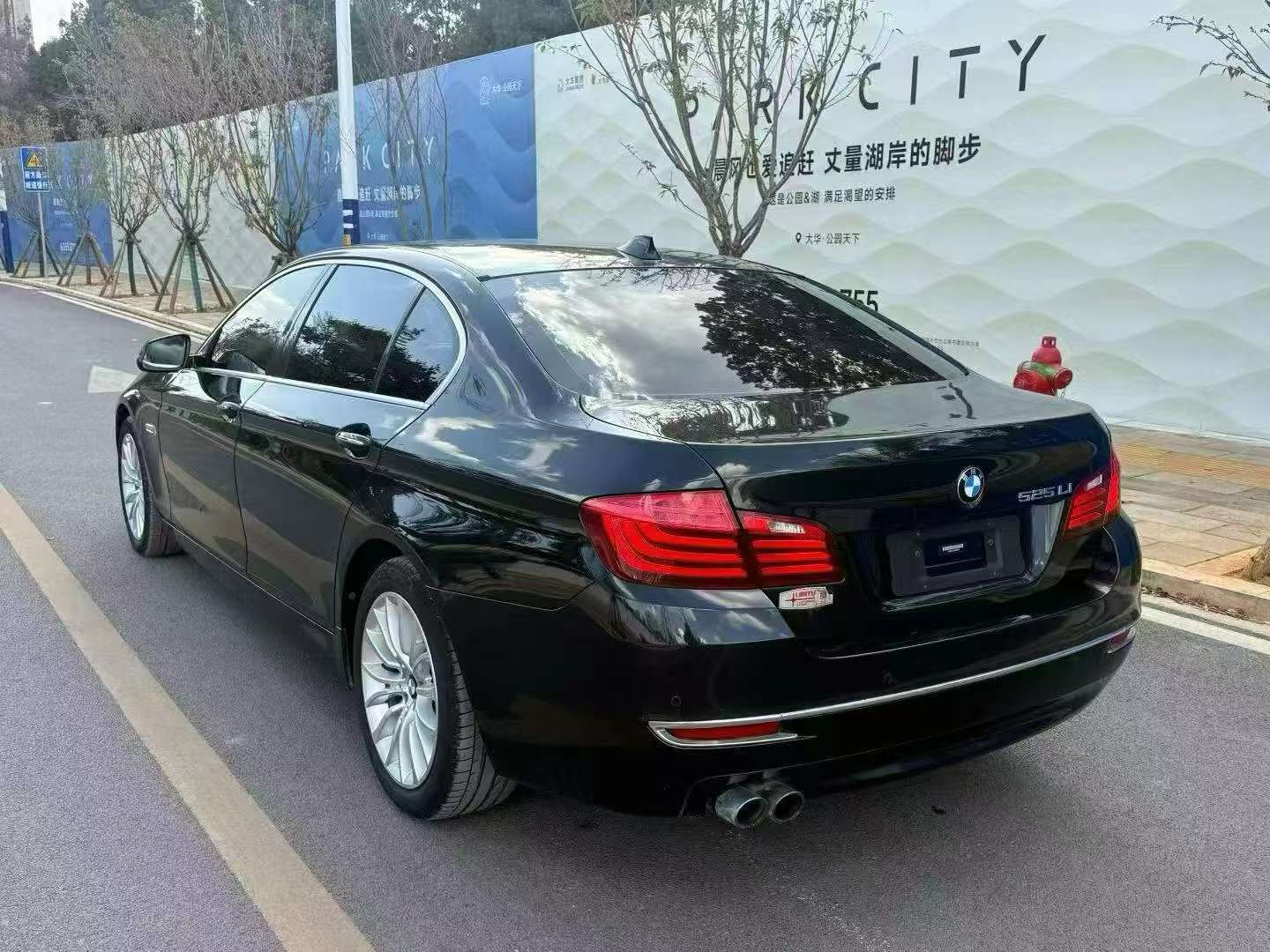 BMW 5 Series 2017 525Li 2.0T Luxury Design Package 7