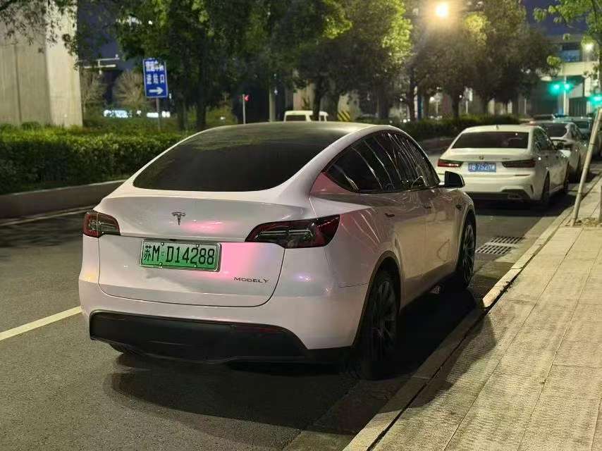Tesla Model Y Standard Range 2