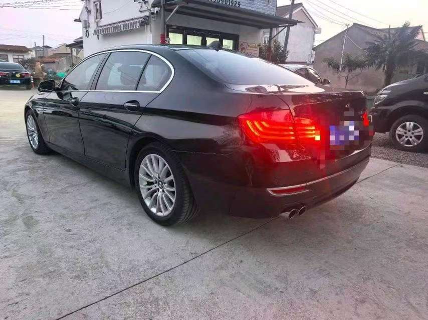 BMW 5 Series 2.0T Luxury Design Package 4