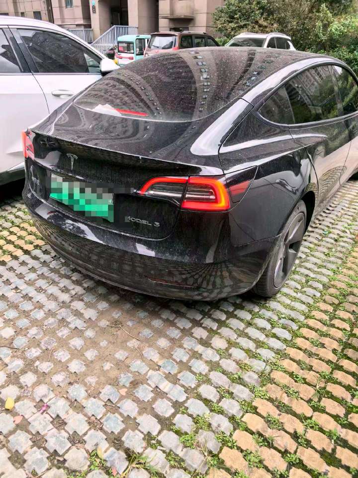 Tesla Model 3 Standard Range Rear-Wheel Drive 5