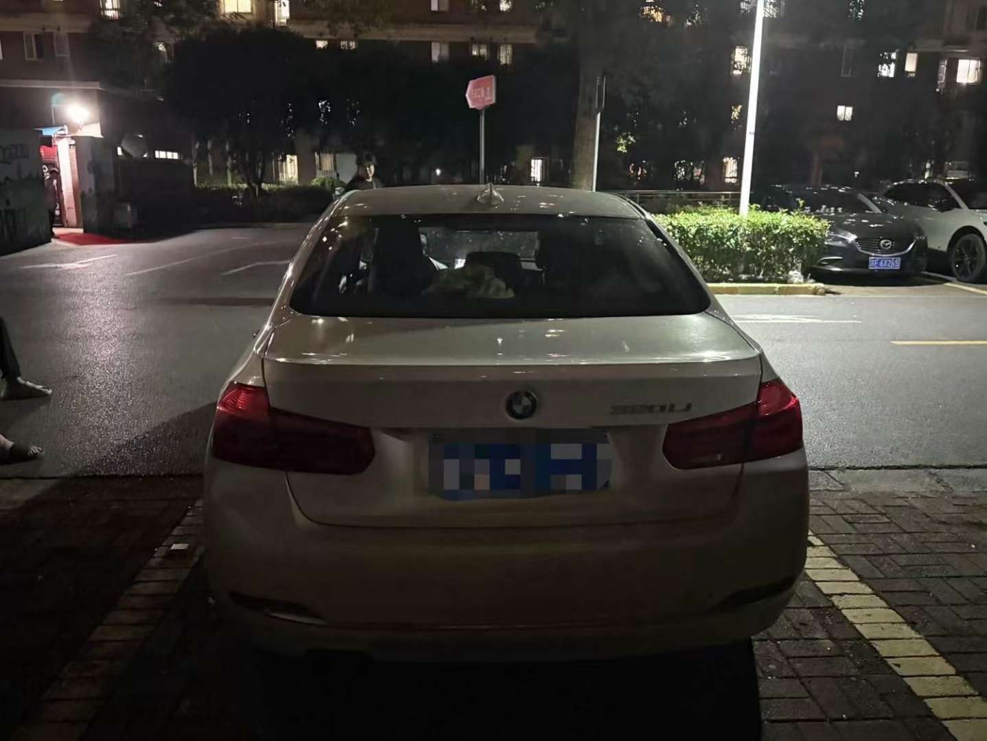 BMW 3 Series 320Li 2.0T Automatic Sunroof 3