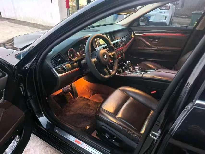 BMW 5 Series 2.0T Luxury Design Package 5