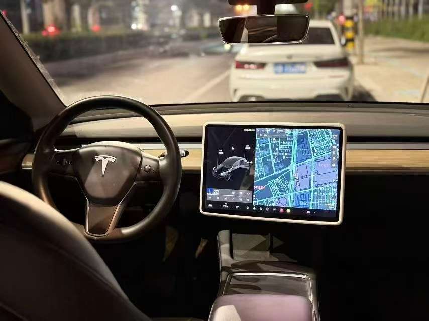 Tesla Model Y Standard Range 5