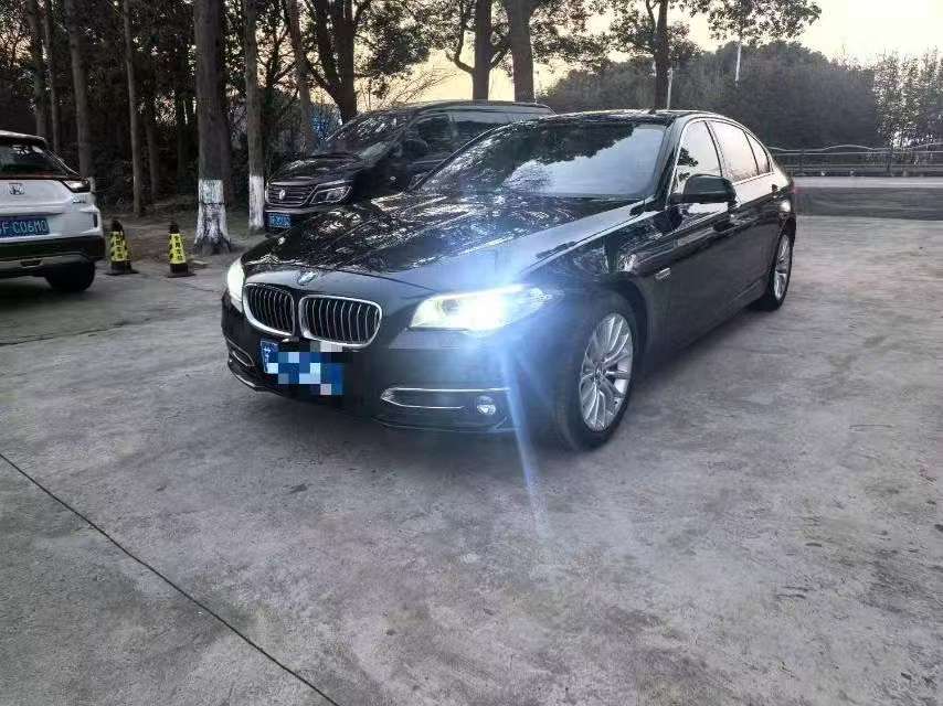 BMW 5 Series 2.0T Luxury Design Package