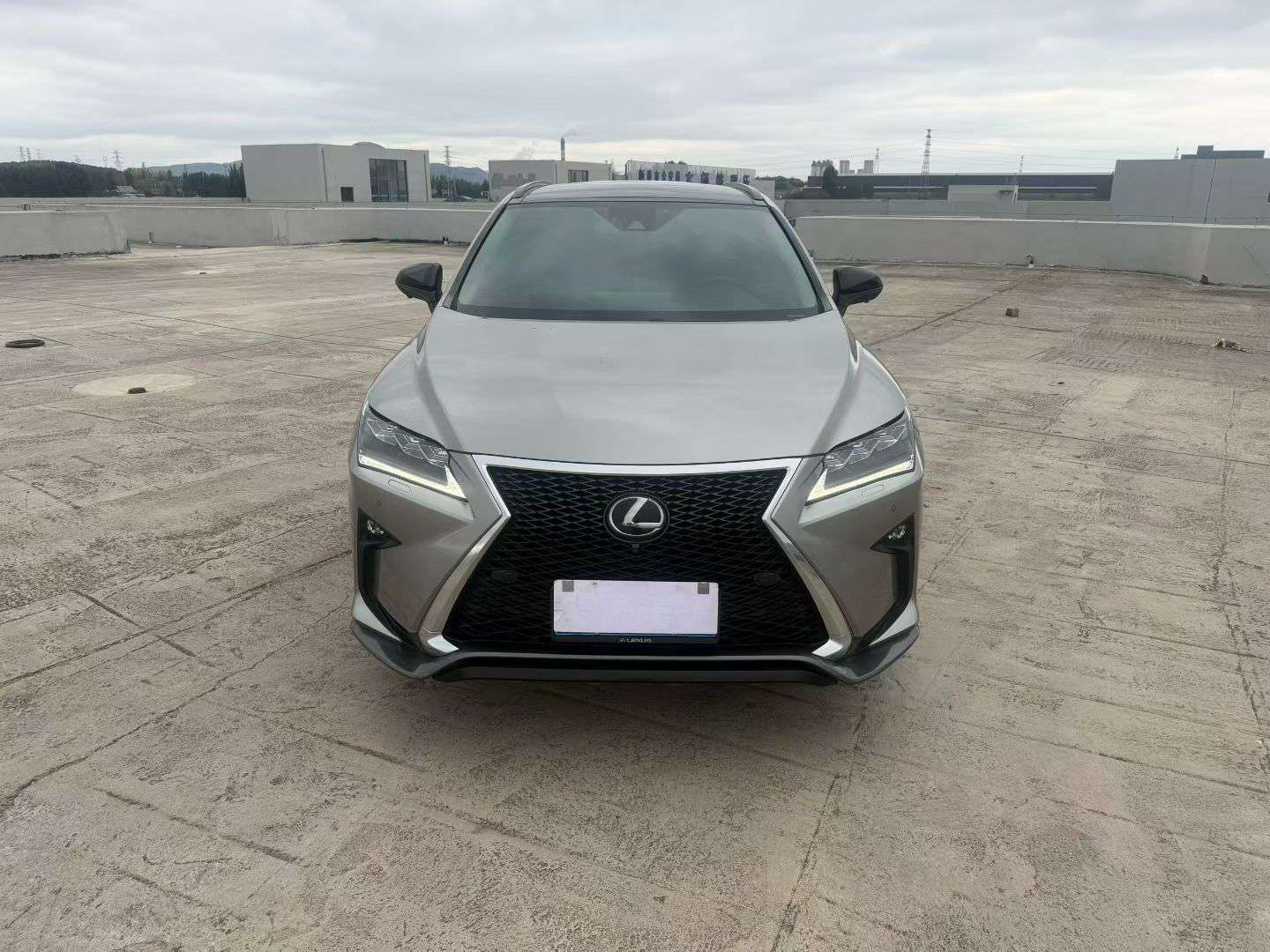 Lexus RX 2.0T AWD F SPORT Edition 2