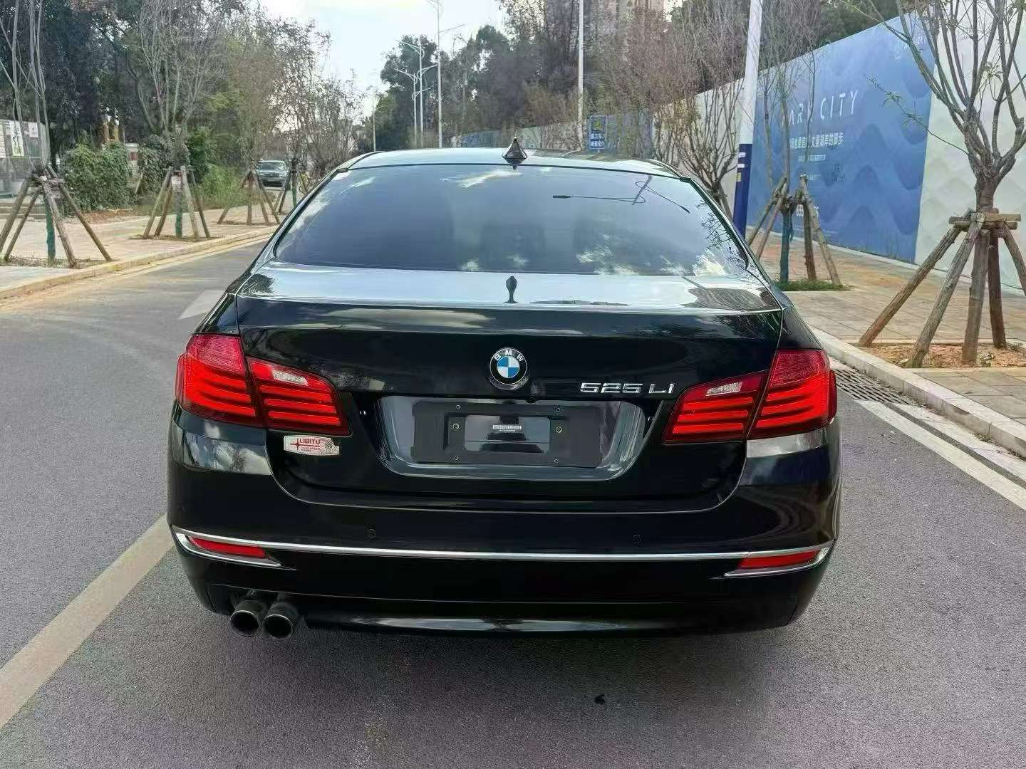 BMW 5 Series 2017 525Li 2.0T Luxury Design Package 8
