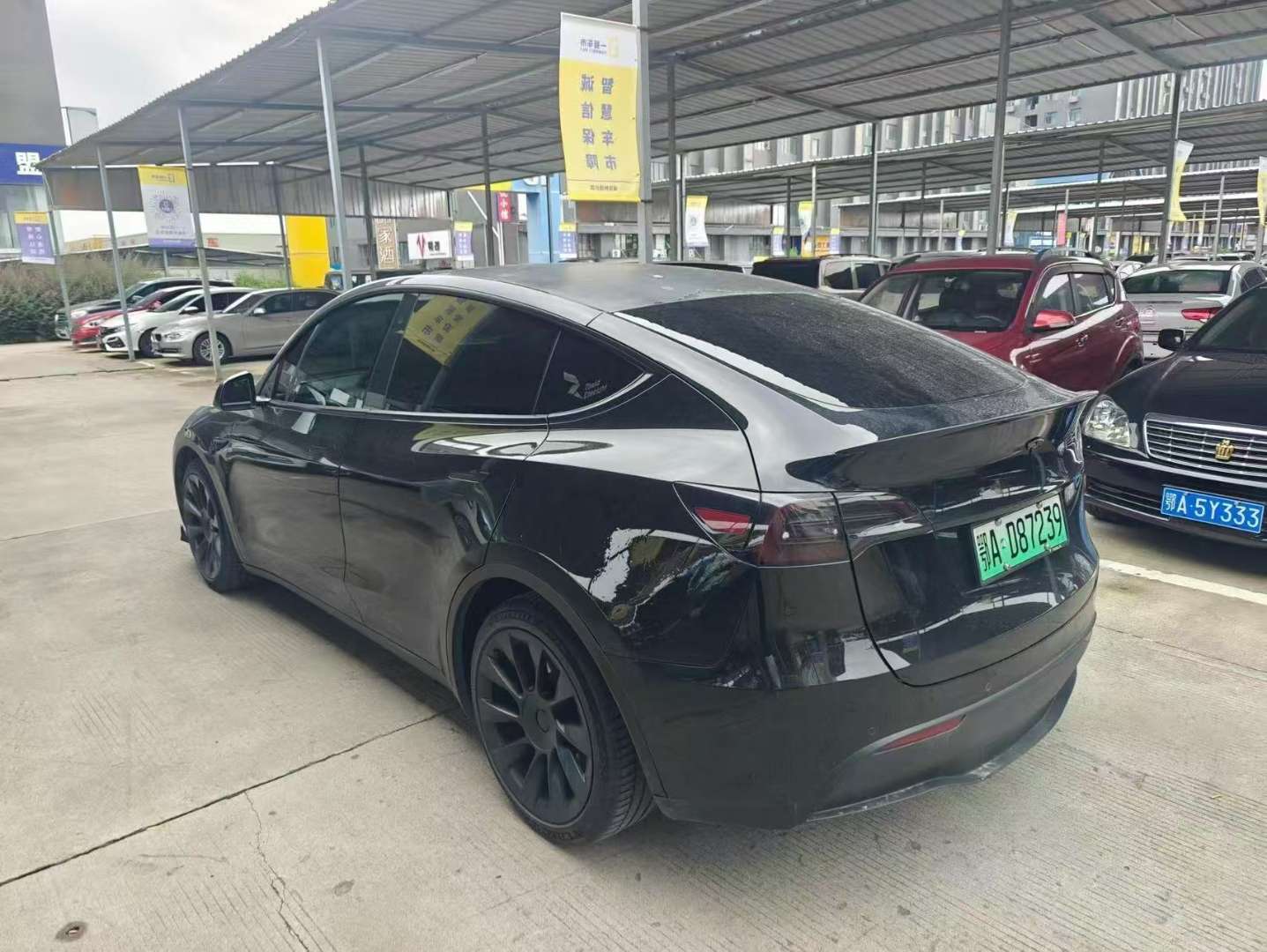 Tesla Model Y 2021 Standard Range 3