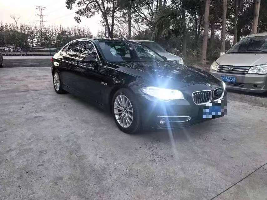 BMW 5 Series 2.0T Luxury Design Package 2