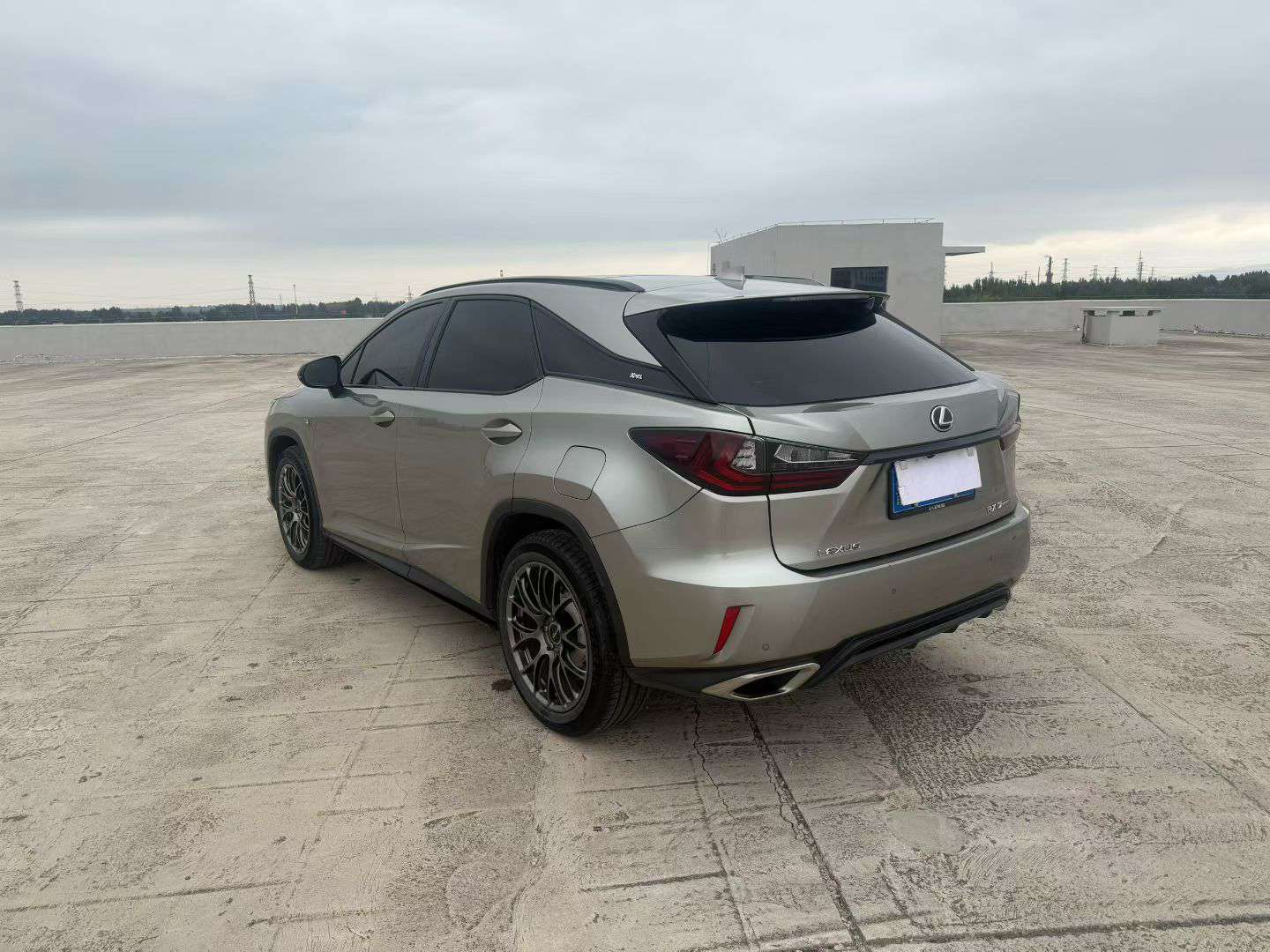 Lexus RX 2.0T AWD F SPORT Edition 9