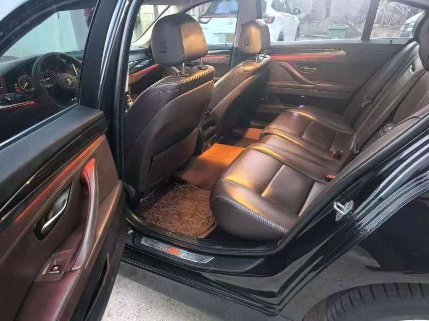 BMW 5 Series 2.0T Luxury Design Package 6