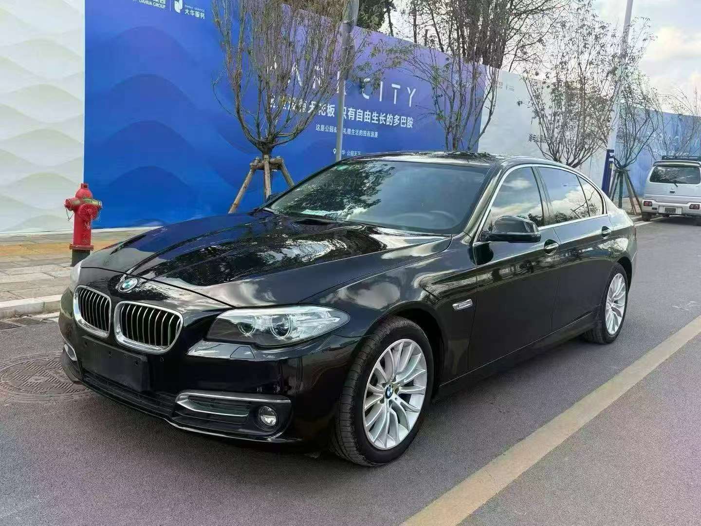 BMW 5 Series 2017 525Li 2.0T Luxury Design Package