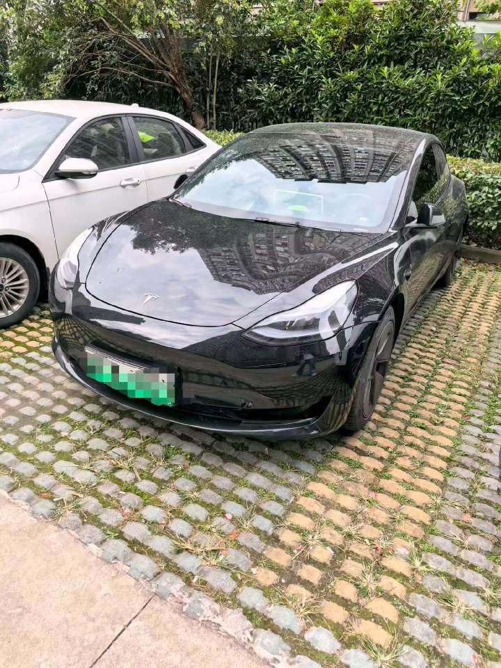 Tesla Model 3 Standard Range Rear-Wheel Drive