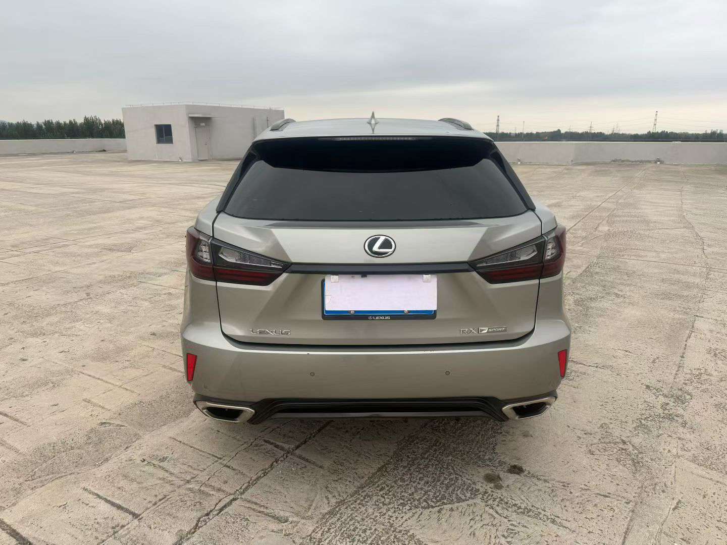 Lexus RX 2.0T AWD F SPORT Edition 8