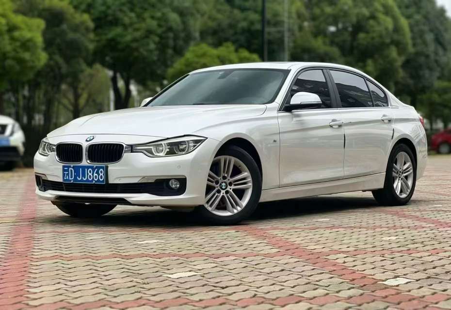 BMW 3 Series 320Li 2