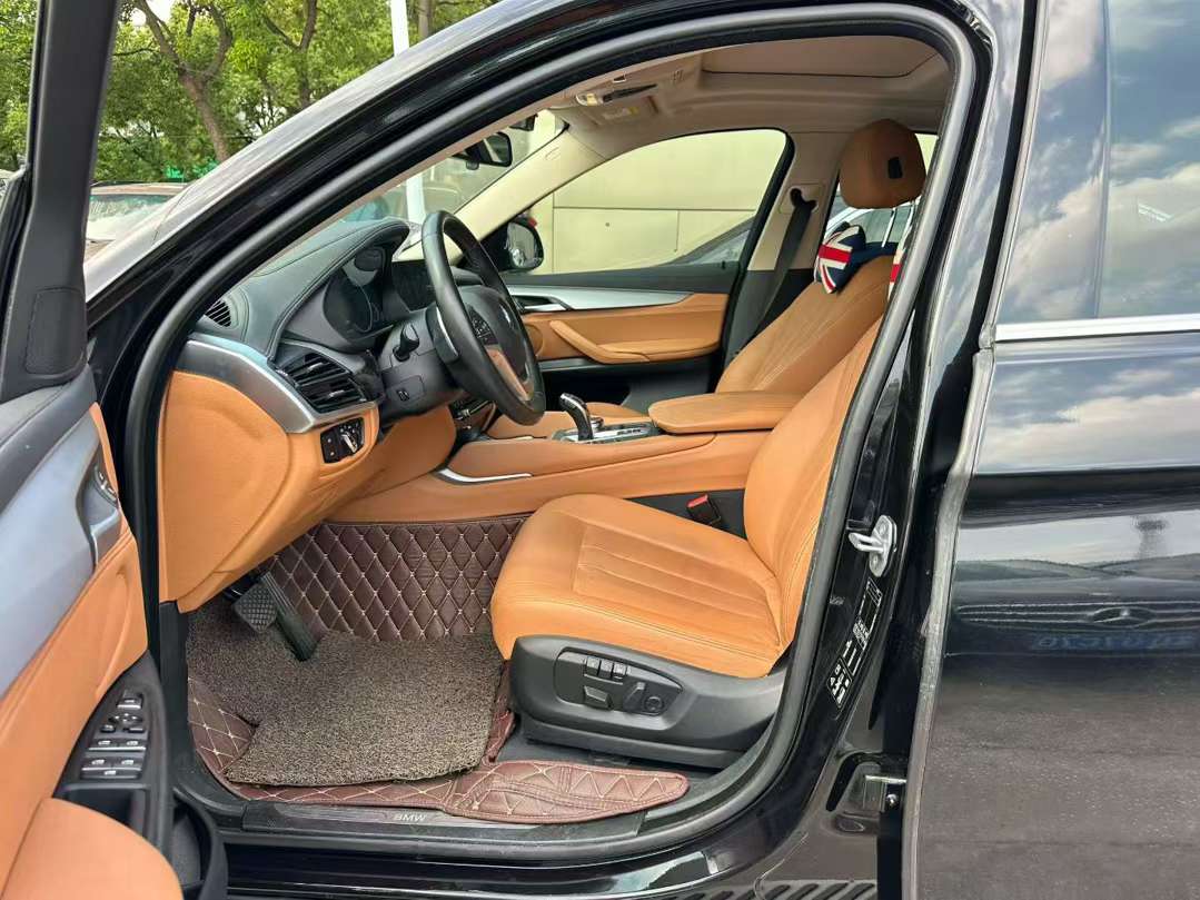 BMW X6 3.0T Luxury 5