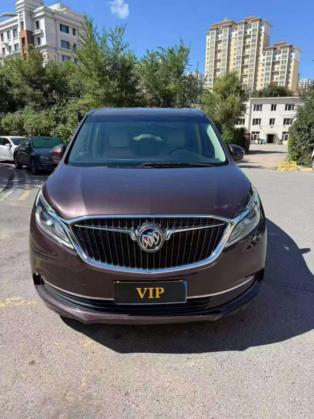Buick GL8 GL8 ES 2.0T High Trim 2