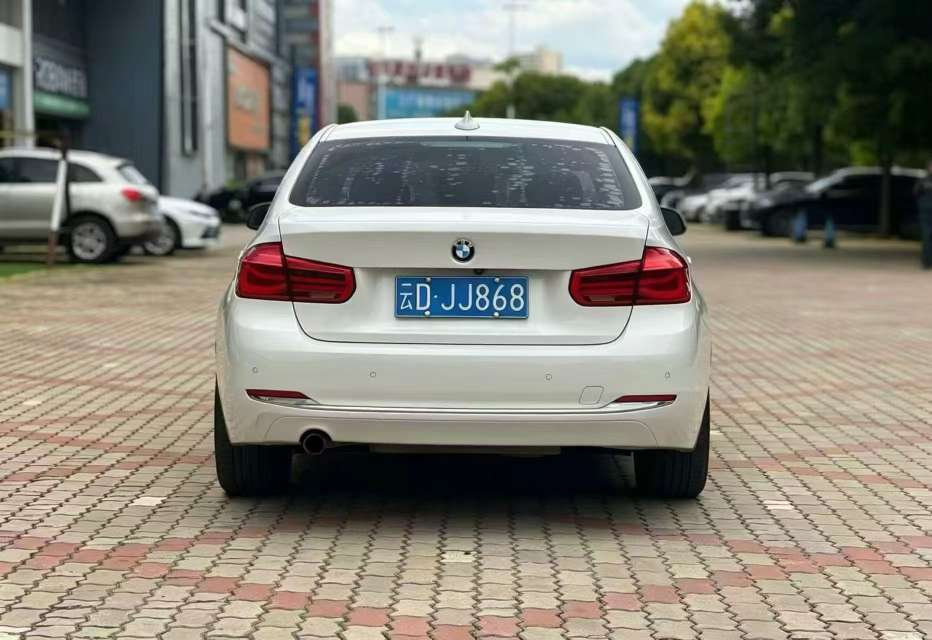 BMW 3 Series 320Li 4