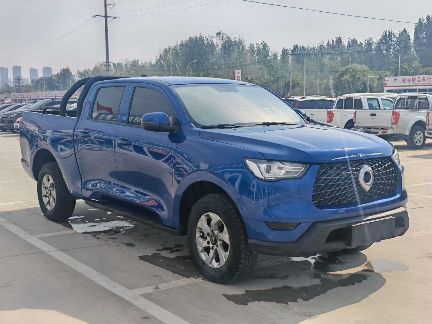 Great Wall Poer 2