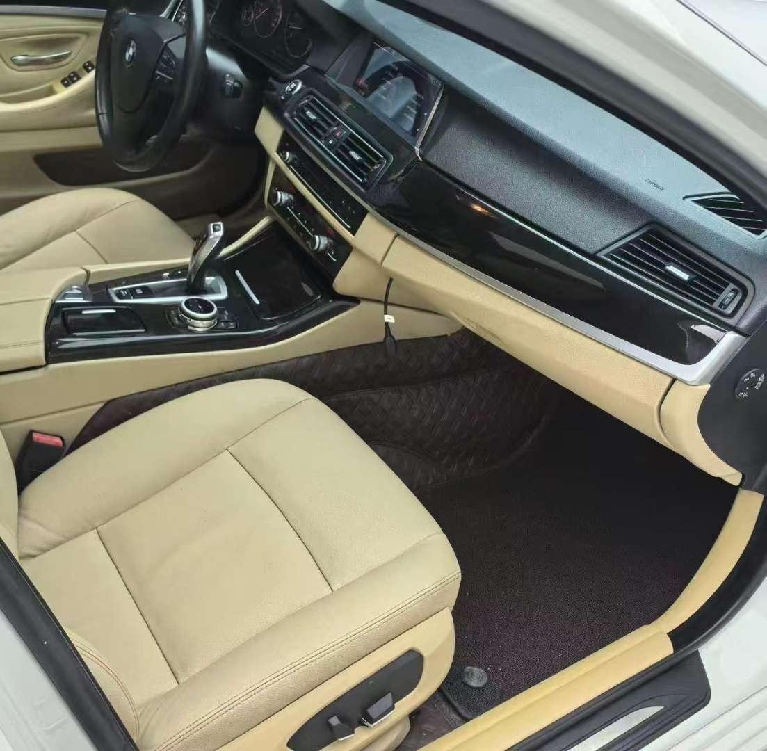 BMW 5 Series 525 Leading 5