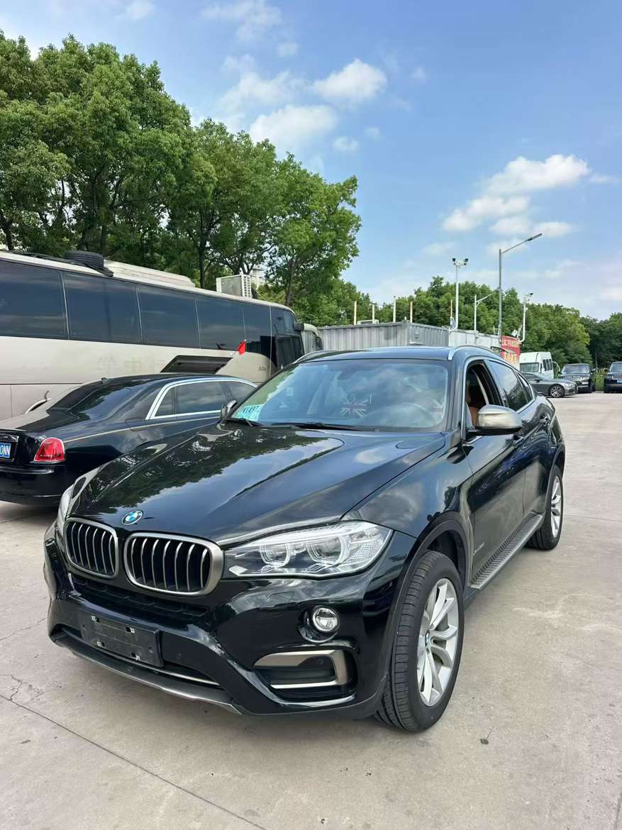BMW X6 3.0T Luxury 2