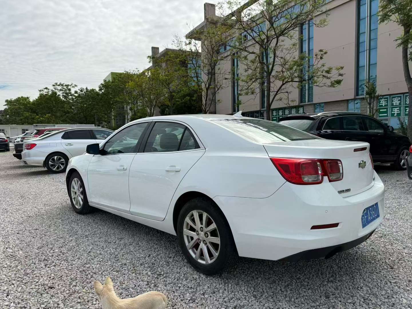 Chevrolet Malibu 2.0L Automatic Luxury 6