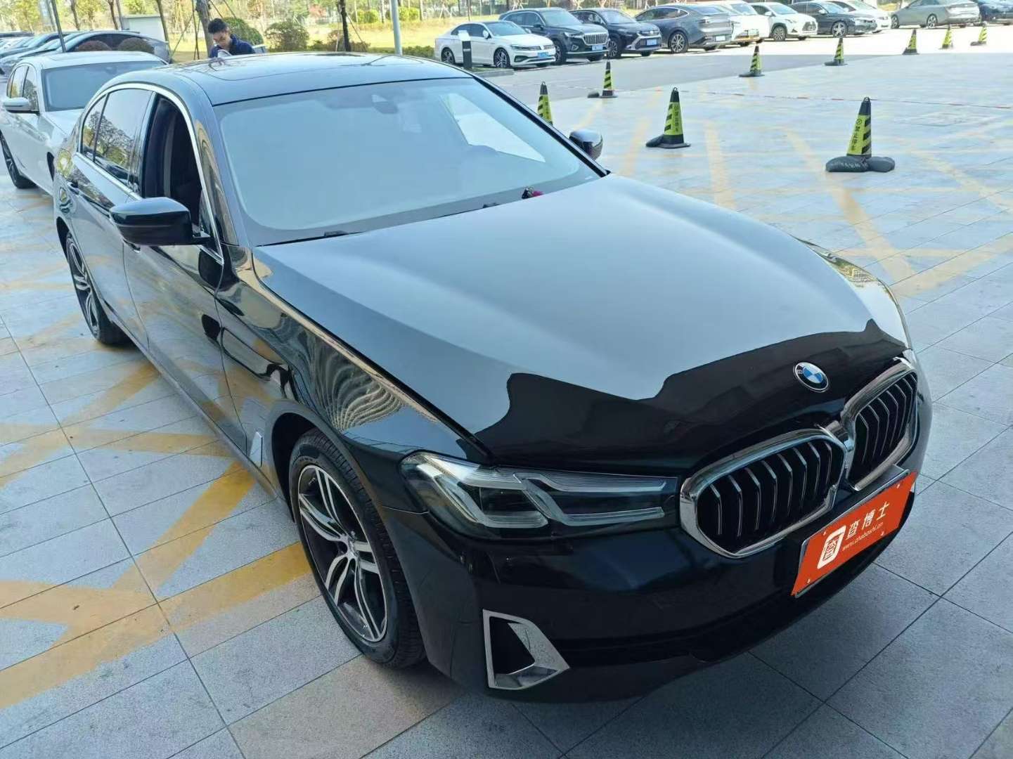 BMW 5 Series 530Li Leading Luxury Package 2.0T 2