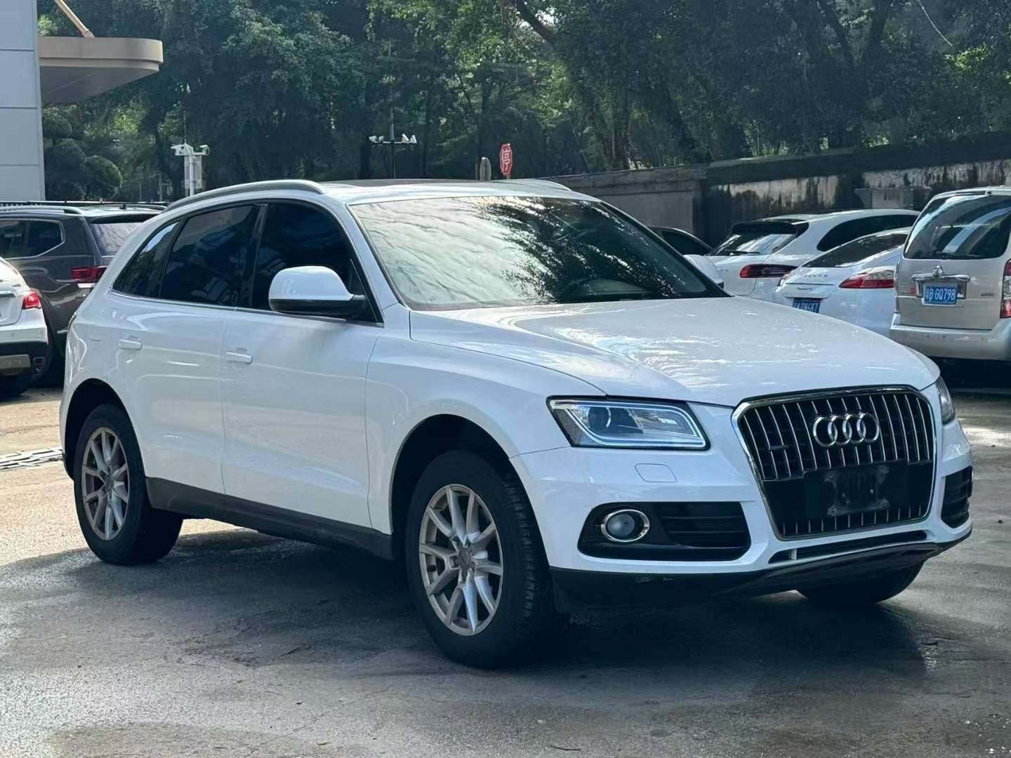 Audi Q5 2.0T Progressive Edition 2